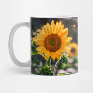 Sunflowers at Noon Photograph Mug